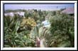 Hotelanlage "Palmera Real", Atacames