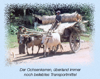 Der Ochsenkarren, überland immer noch beliebtes Transportmittel