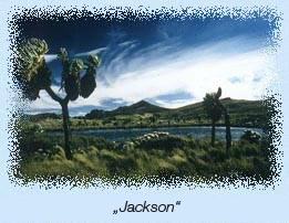 "Jackson